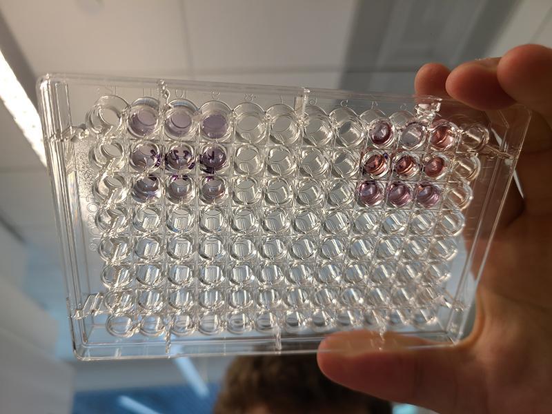 lab tray