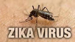 Mosquito with text 'ZIKA VIRUS'.