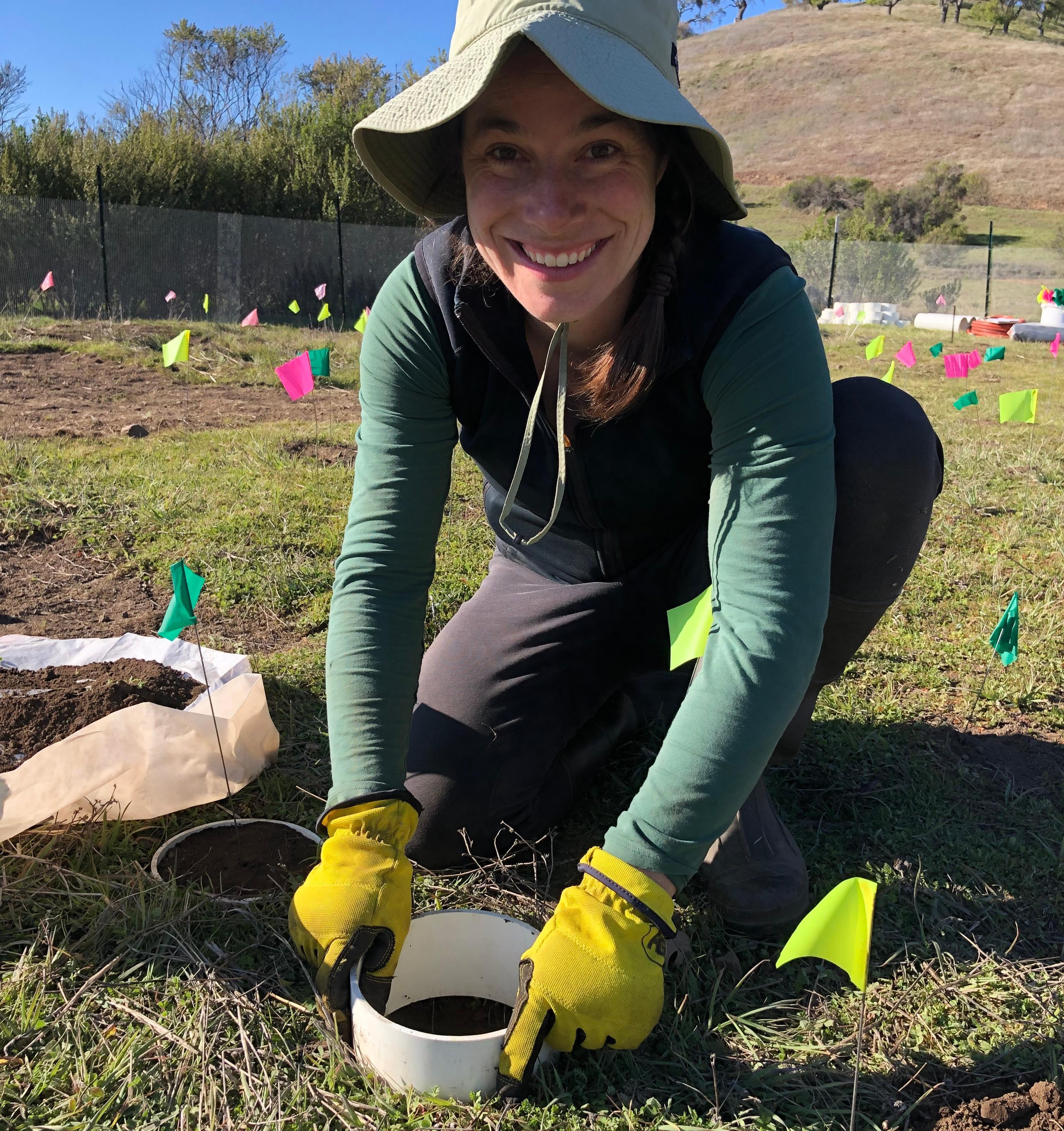 Miranda Melen 1 field