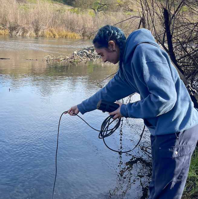 ISF 25 capstone Facing page photo