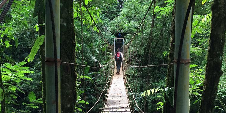 A bridge in Costa Rica over a river in the rain forest used to bridge together the bamboo forest and the large forest