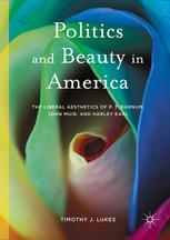 Politics and Beauty in America book cover with abstract colorful design. 

