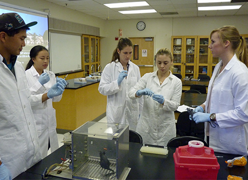 Five people in lab coats engaged in a discussion in a laboratory.