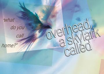 Bird silhouetted on a fractured rainbow background with text overhead, a skylark called