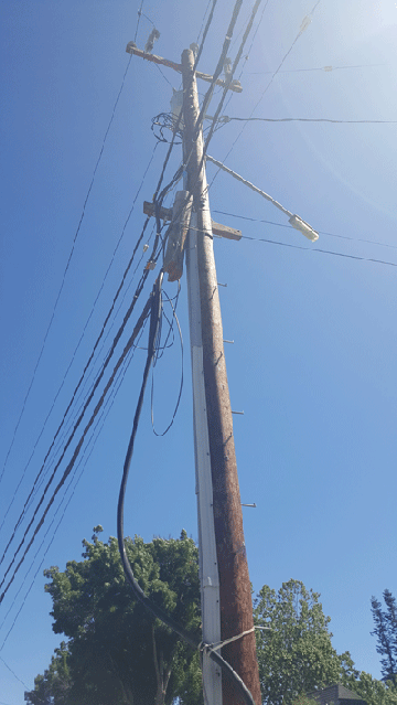 Utility pole in San Jose, CA with Peg tied by rope