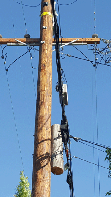 San Jose CA utility pole with peg