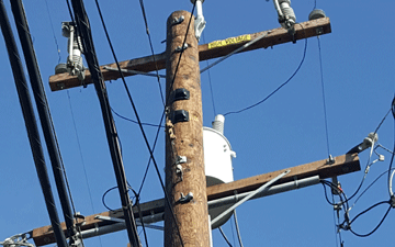 Utility Pole