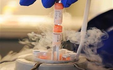 Tissue sample (AP Photo/Daniel Maurer).