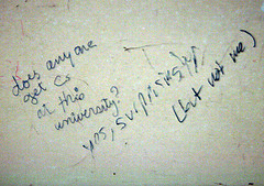 Does anyone get Cs at this University?