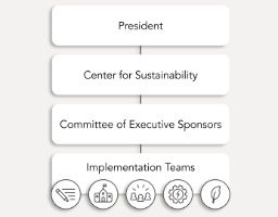 Structure of Implementation Process