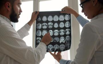 Two doctors examine MRI brain scans. Photo by Vitaly Gariev on Unsplash.