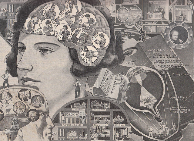 Detailed artistic illustration of a person’s brain by Bob May.