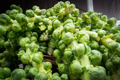 Bright green Brussels sprouts clustered together.