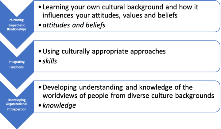 Building healthy organizations A Business Case for Cultural Humility Moving the Metrics on Diversity Equity and Inclusion