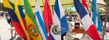 Multiple international flags displayed at an event called Global Village 2015.