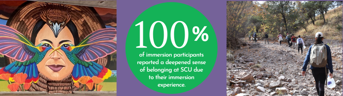 24-25 Immersions Metrics