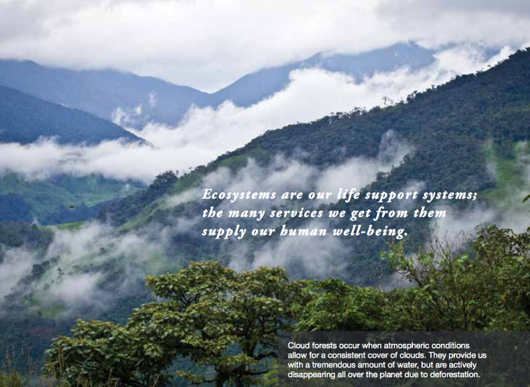 Cloudy mountain landscape with two text overlays about surrounding oneself with good people.