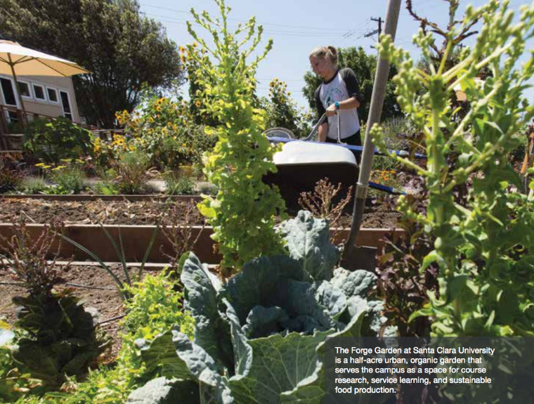 A person gardening with green plants and a sunny background. COPPER LANE co-housing community text.