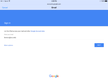 iPad displaying Google Sign On page with fields for email and password.