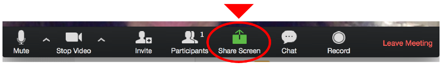 image of Zoom Bar with share screen circled in red.