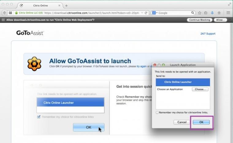 Allow GoToAssist launch prompt with Open GoTo Opener? dialog box.