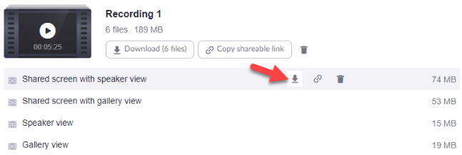 Zoom interface highlighting the download option for an individual recording.