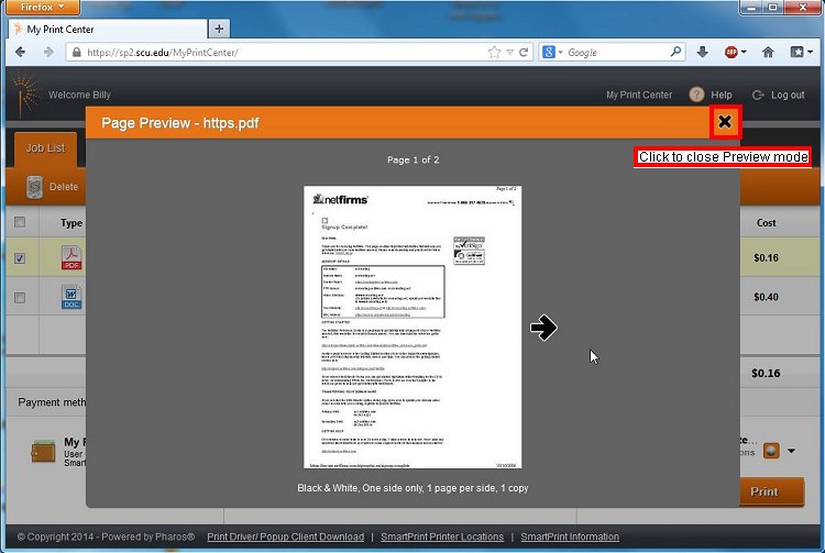 Print preview window with print settings menu and document.