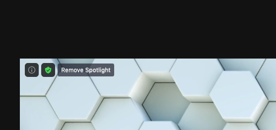 Cancel a spotlight in Zoom