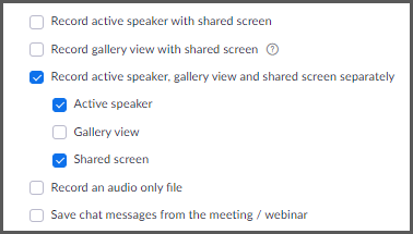 Options for active speaker and shared screen, with one option selected.