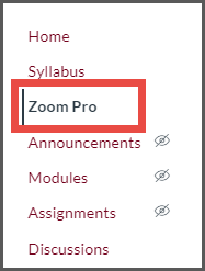 Sidebar with a highlighted 'Zoom Pro' tab.