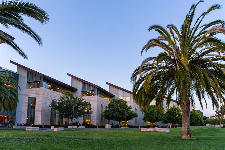 Library building with modern architecture and palm trees in front.