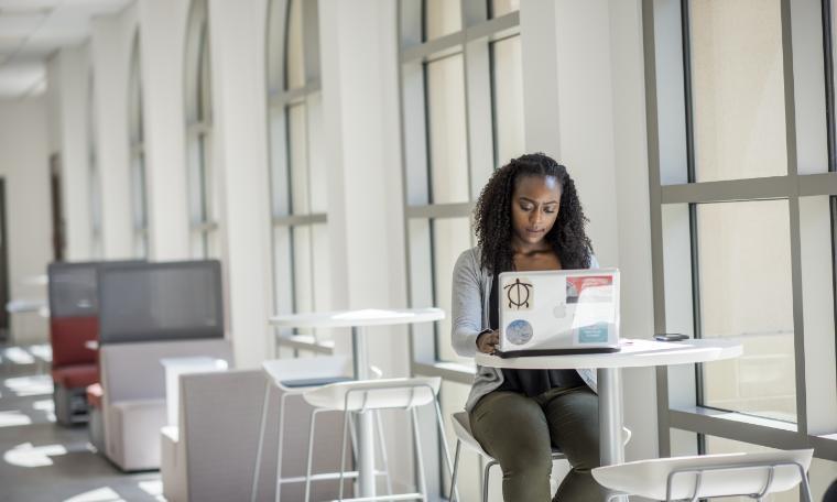 Woman working on a laptop at a desk in a bright room. image link to story