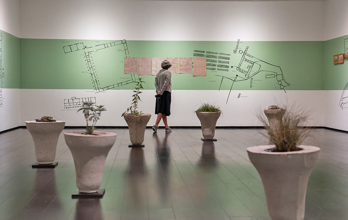A woman studies old documents on a green gallery wall, with upside-down bell-shaped planters holding native plants and grasses in the foreground.
