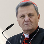 Headshot of Cardinal Mario Grech