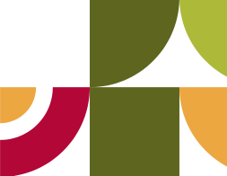 Access to North American synodal experiences 