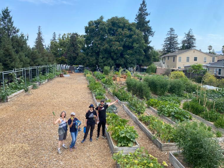 Garden to Table photo 3