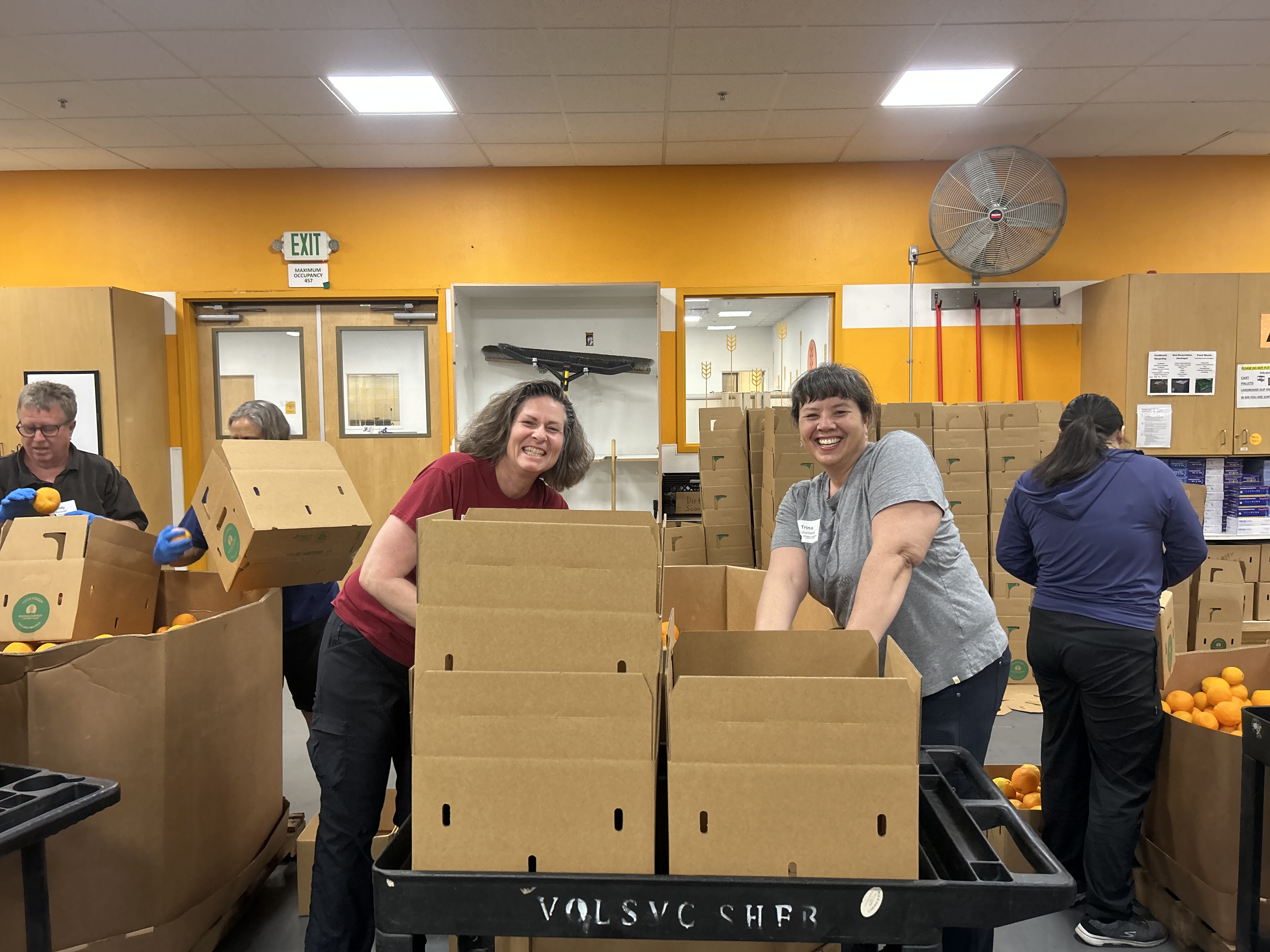 Alumni smiling around boxes