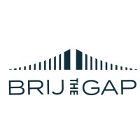 Brij the Gap Consulting Logo