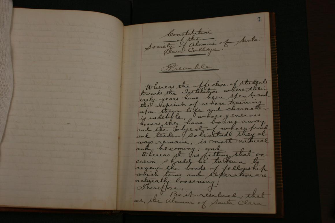Handwritten text on an open book with the title Constitution 3.