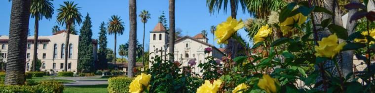 Mission of Santa Clara church behind a bush of yellow roses. 
