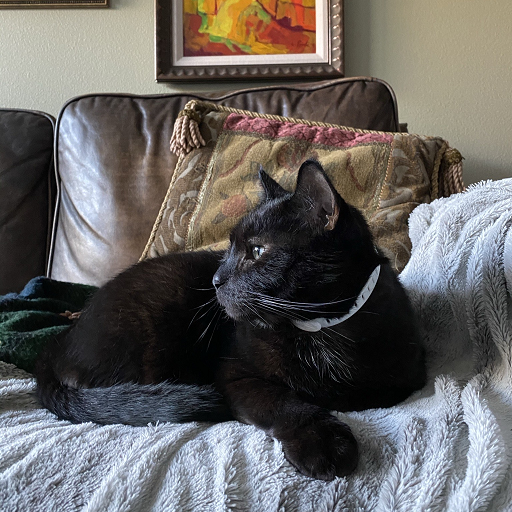 Edgar (Nat Civ)