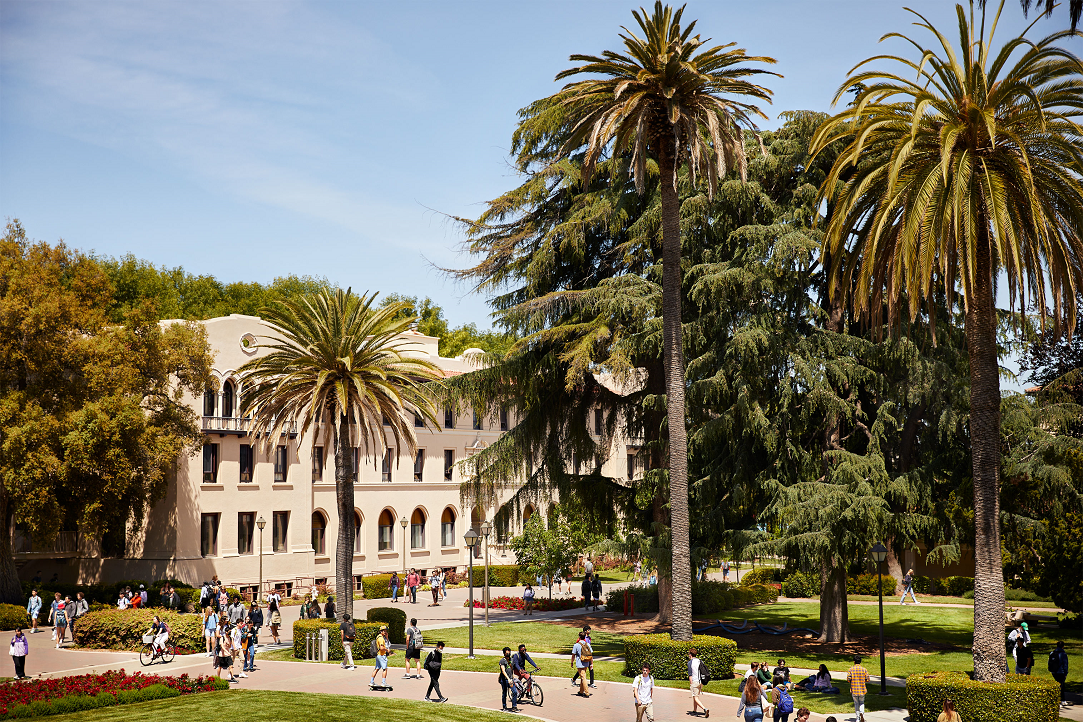 Decorative; aerial of SCU campus buildings and palm trees