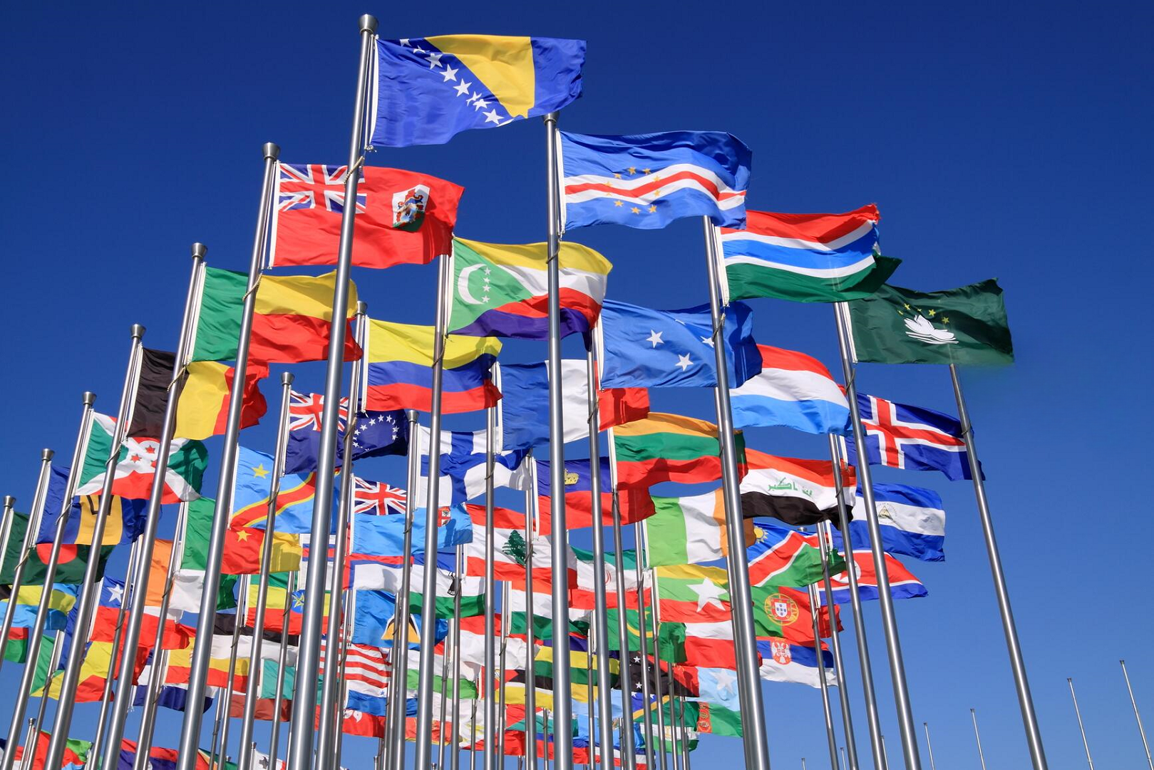 Decorative; collection of world flags on flagpoles