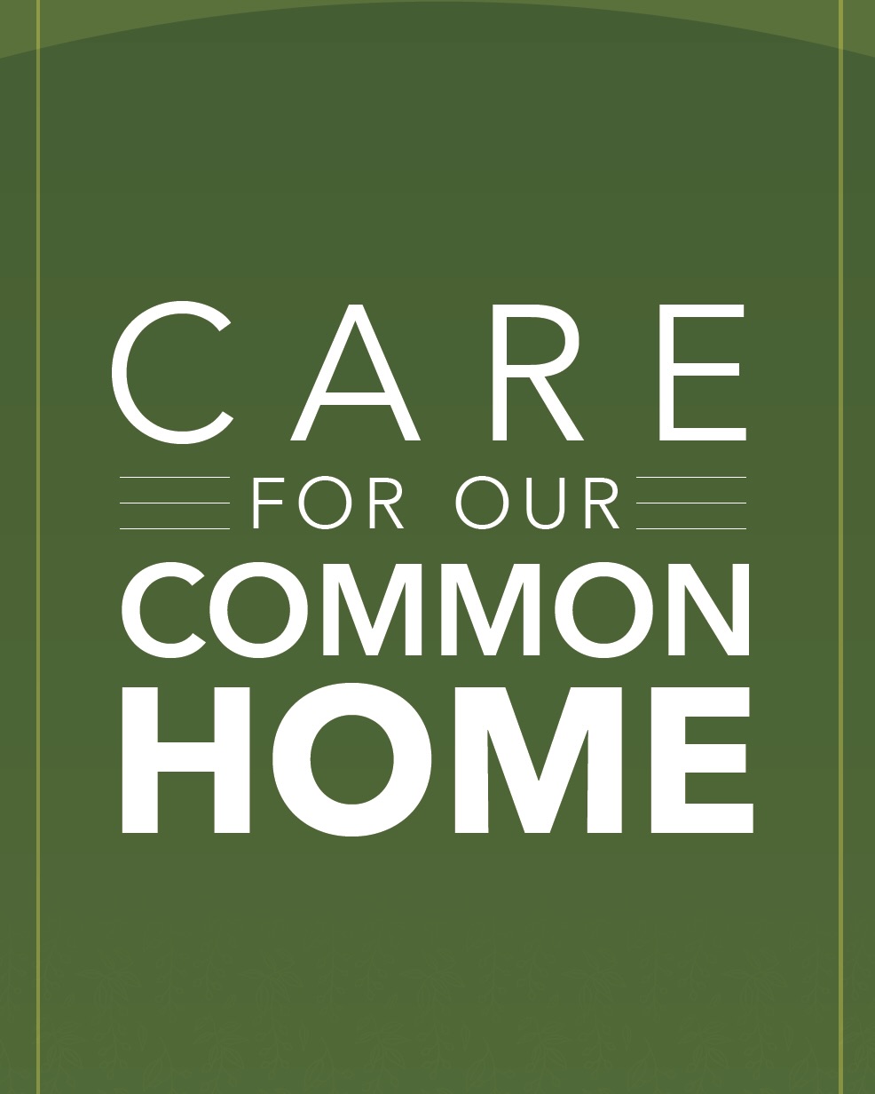 Care for our Common Home banner 
