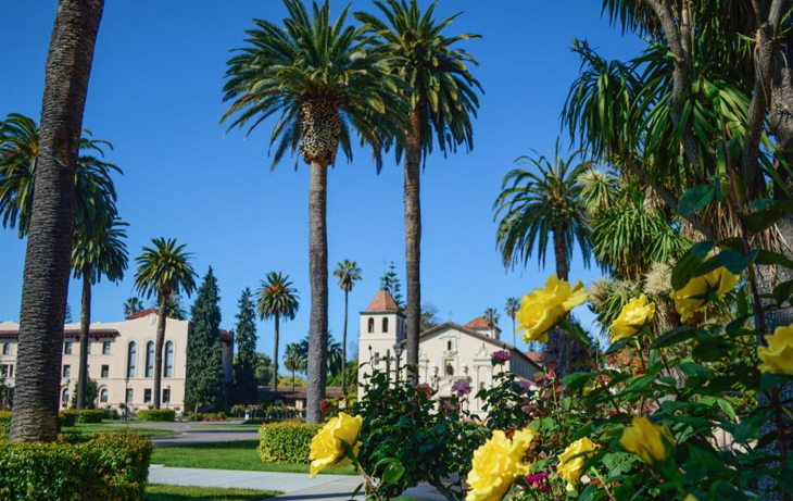 Mission Church behind palm trees