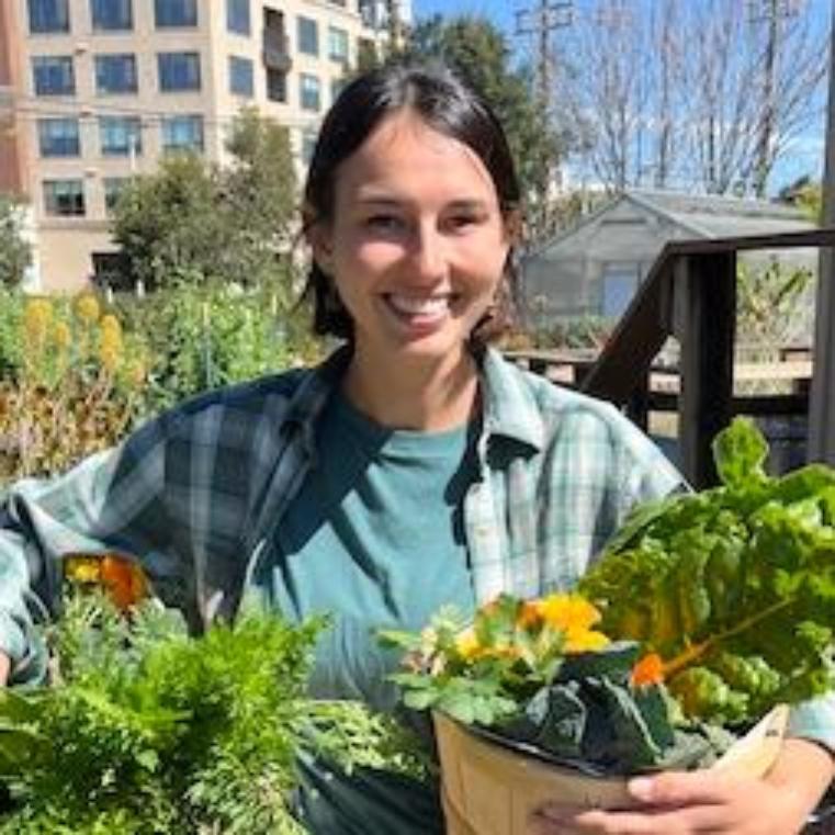 A person holding two baskets full of produce