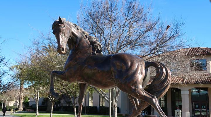 Bronco cover for LTLS 