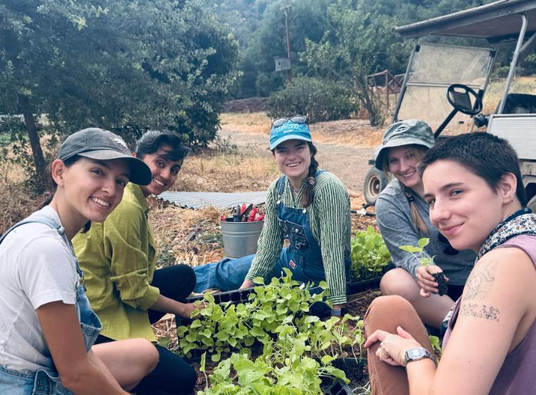 A group of Forge summer interns smiling while working on a garden bed 