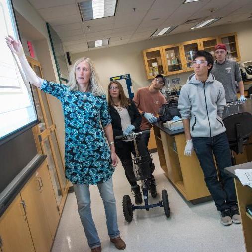 A professor teaching students in a lab setting. Links to Environmental Studies BS; Minor page.