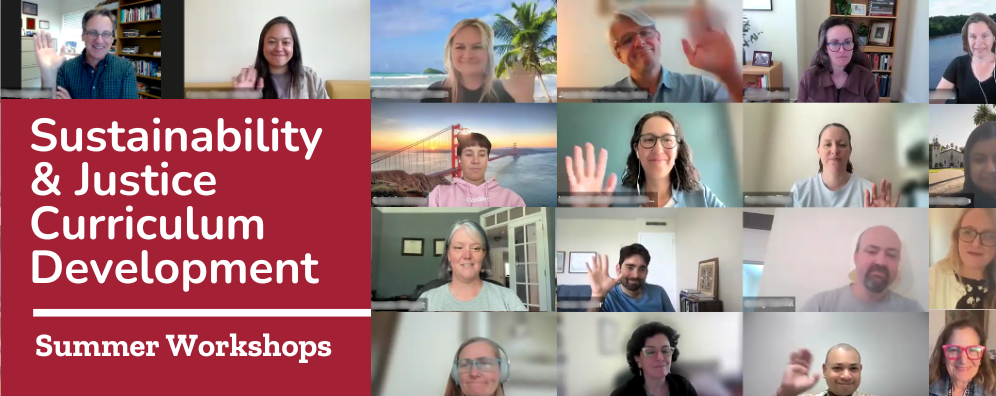 Graphic showing a zoom screen with the text Sustainability and Justice Across the Curriculum Development Summer Workshops. image link to story